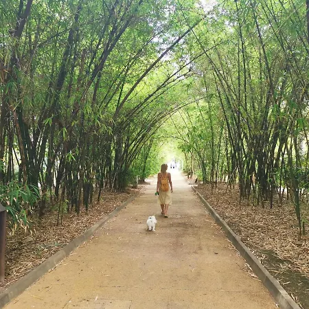 Home2book Bright Center Cruz, Wifi Lägenhet